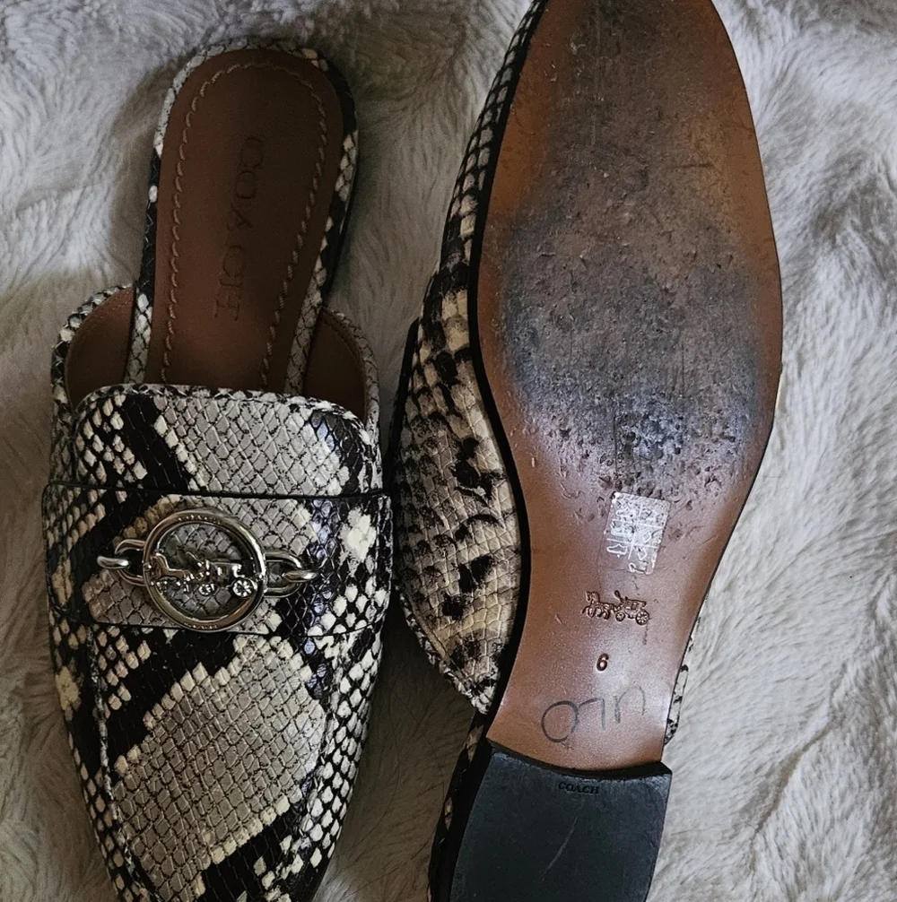 Coach Scotty Slide Mule Snake Print Silver Logo Women's Size 6 Shoes